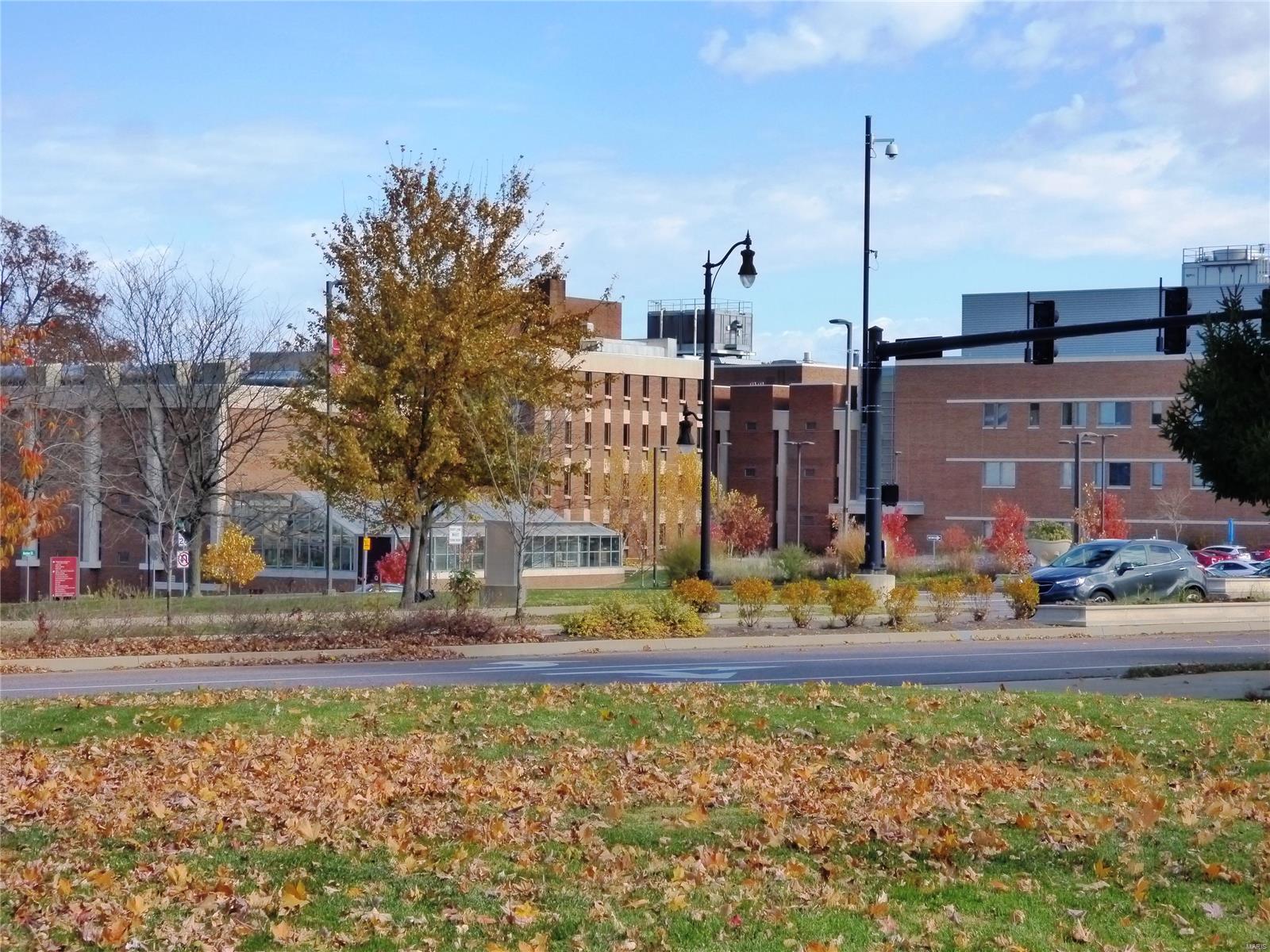 8218 Natural Bridge Road St. Louis, MO 63121 - Photo 27 of 27