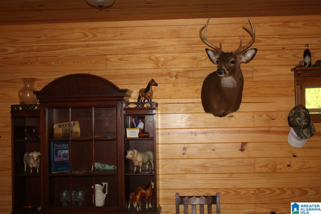 0 Louina Road Roanoke, AL 36274 - Photo 27 of 33