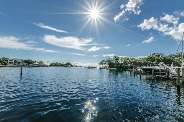 a view of a lake with palm trees
