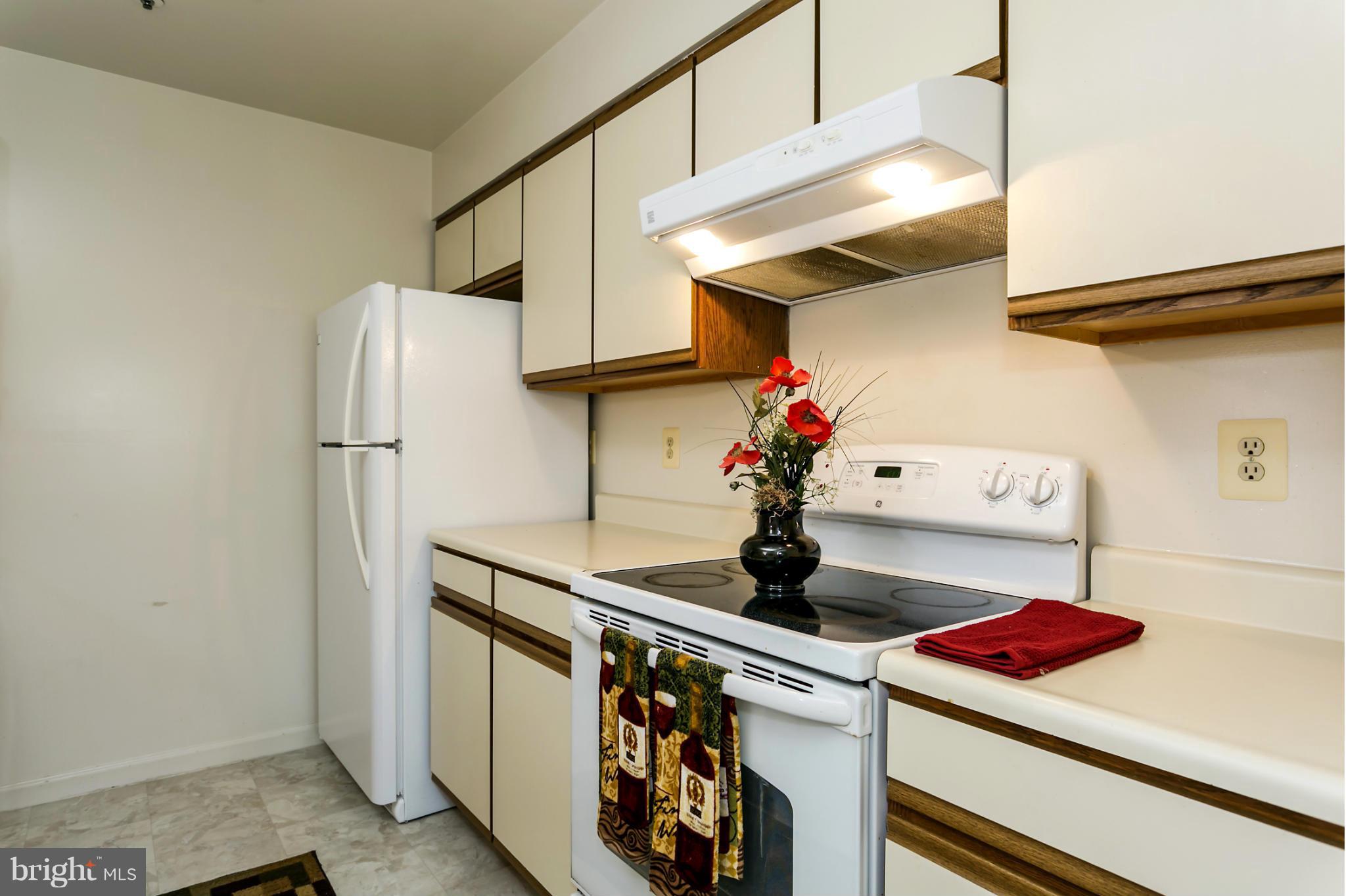 8493 Falls Run Road, Unit I Ellicott City, MD 21043 - Photo 8 of 16 Kitchen
