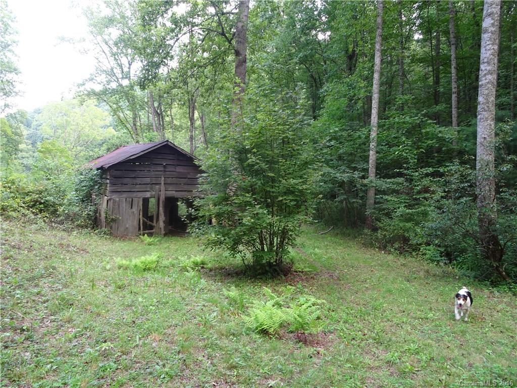 138 Riley Bramlett Road Candler, NC 28715 - Photo 6 of 7 Gallery Image 6