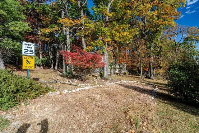 a view of a park with iron fence