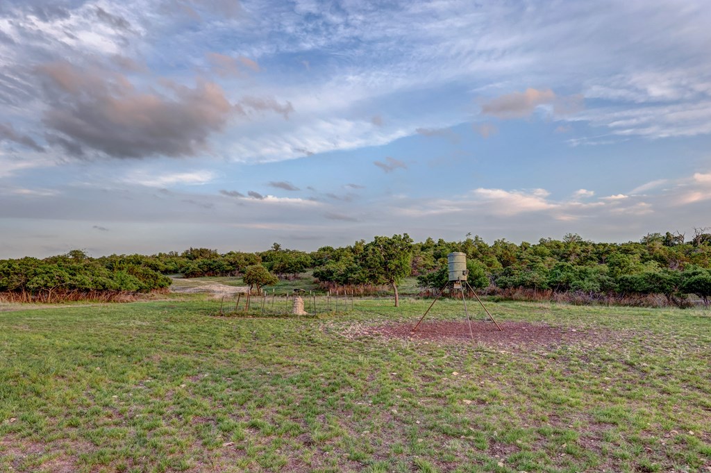 450 Jung Road Harper, TX 78631 - Photo 34 of 50 a view of a lake with a city