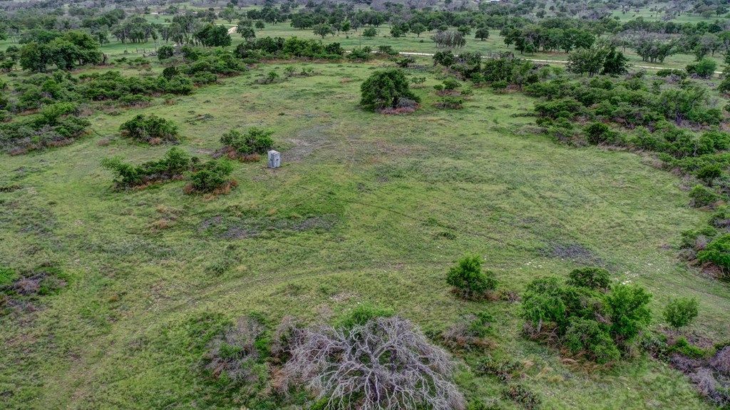 450 Jung Road Harper, TX 78631 - Photo 40 of 50 a view of a lush green forest with lots of trees