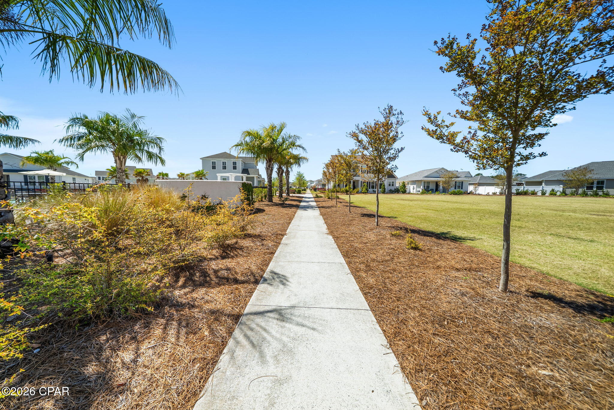 1809 Rushes Avenue Panama City, FL 32405 - Photo 59 of 61