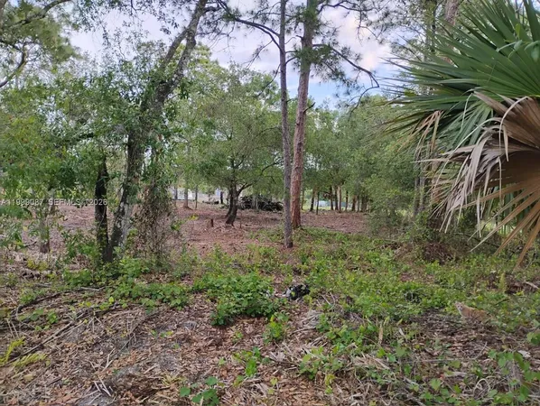 a view of outdoor space with trees all around