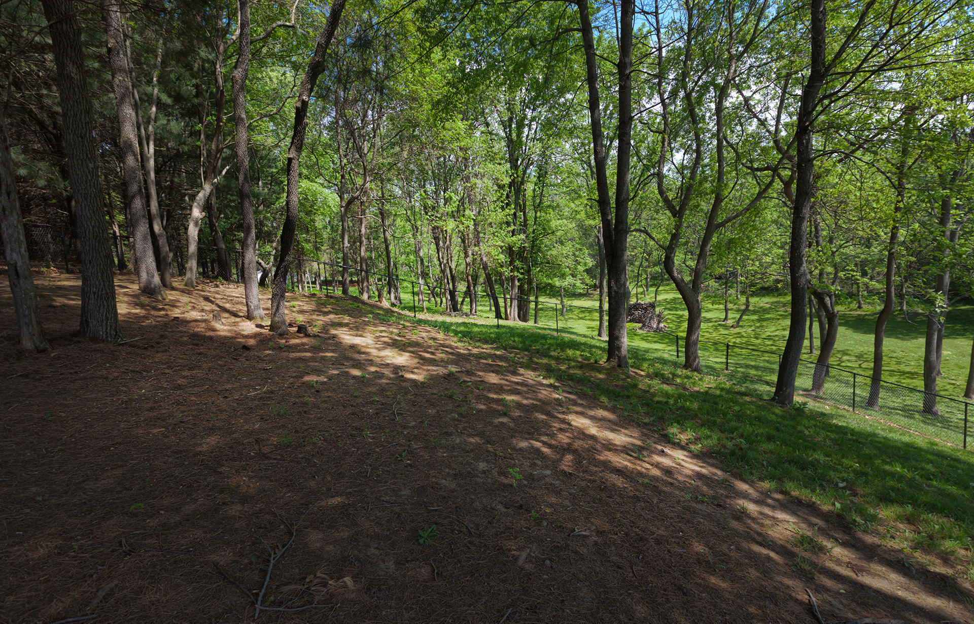 5533 Roanoke Road Troutville, VA 24175 - Photo 31 of 45 a view of outdoor space with trees