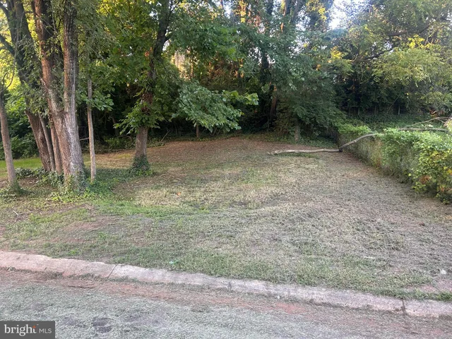 a view of outdoor space and yard