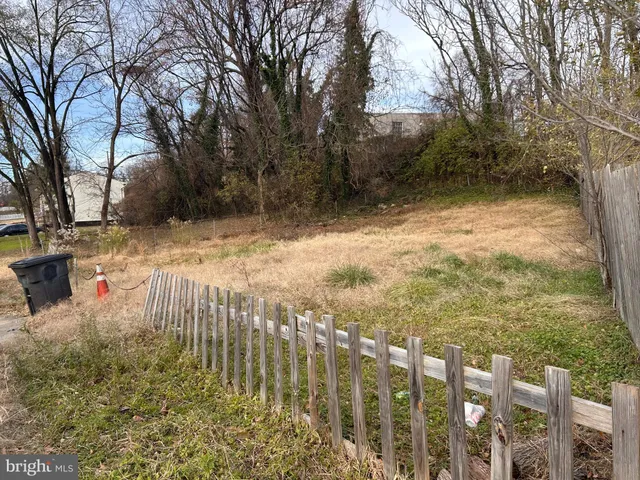 a view of a yard with plants and a large tree