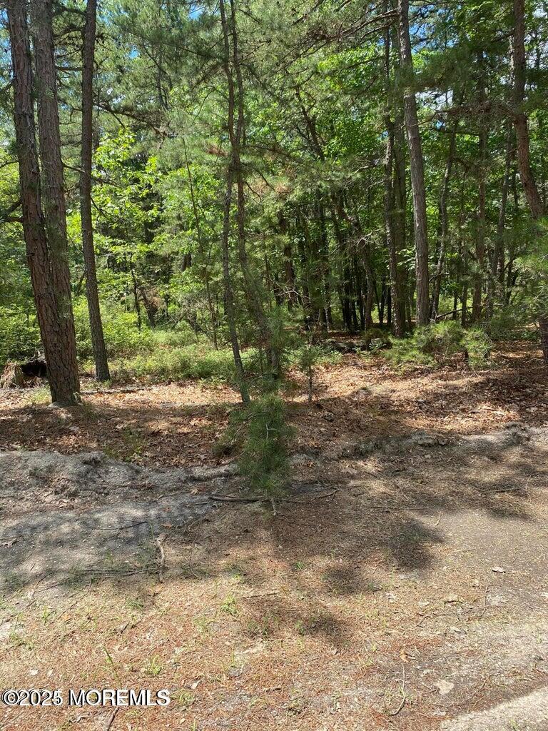 103 Buckingham Road Whiting, NJ 08759 - Photo 2 of 4 main 2