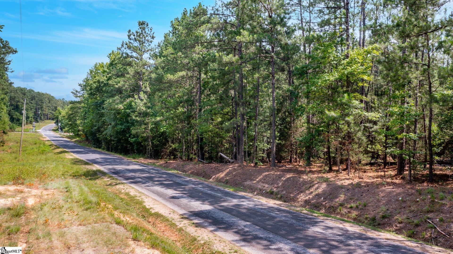 0 Stomp Springs Road Clinton, SC 29325 - Photo 2 of 15