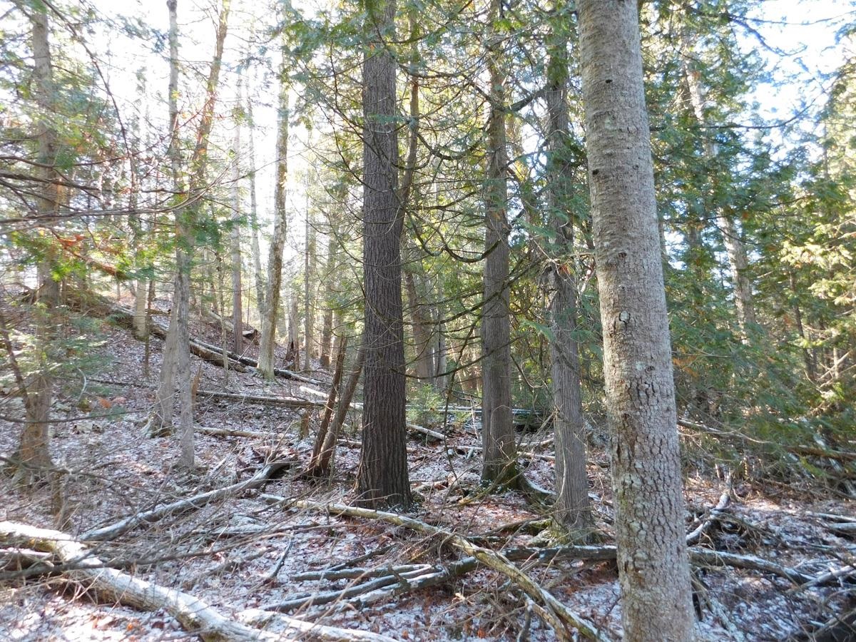 1 Kings Corner Road Oscoda, MI 48750 - Photo 9 of 20 1907805-8.JPG