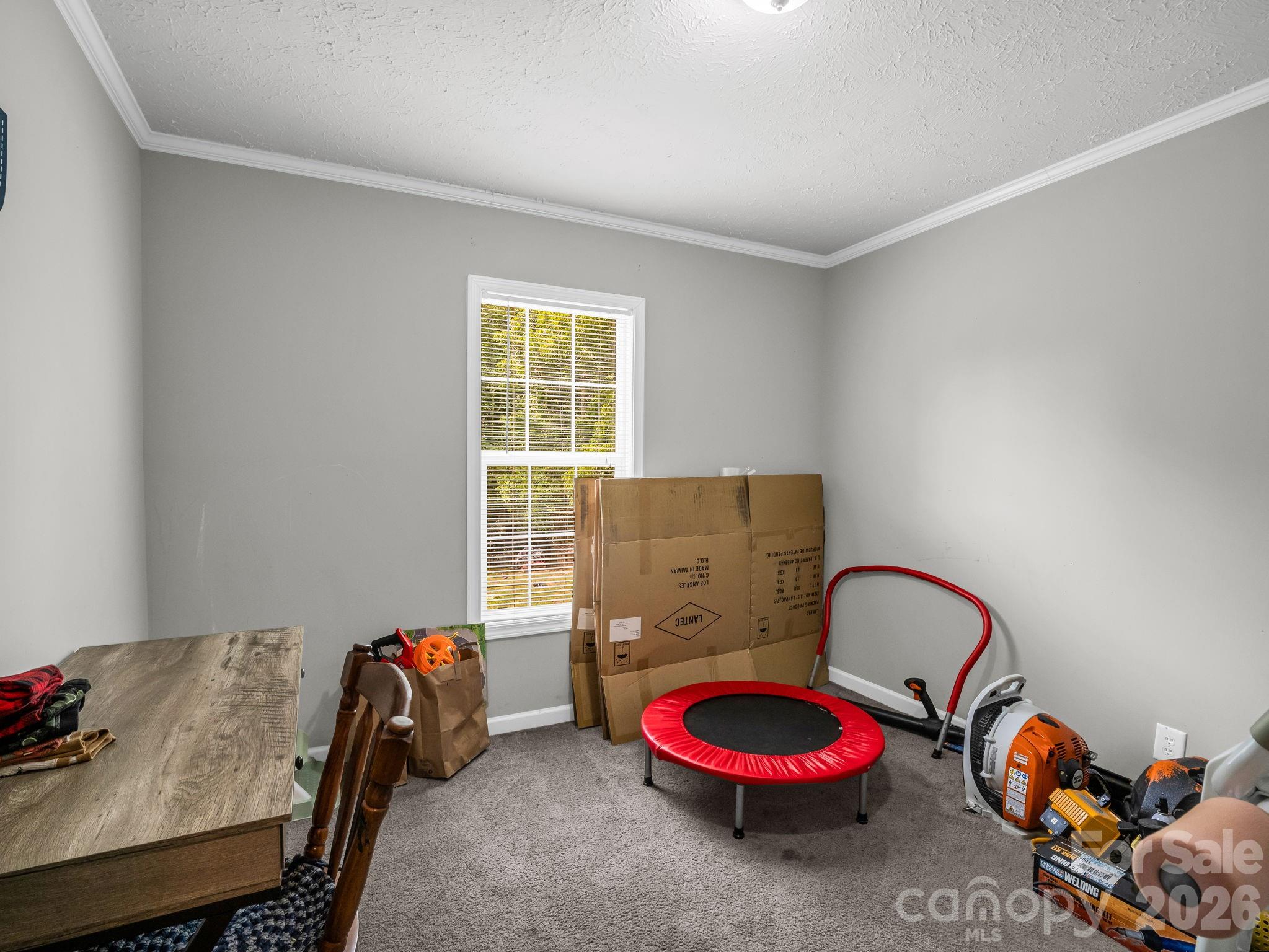 110 Judy Road Casar, NC 28020 - Photo 26 of 29