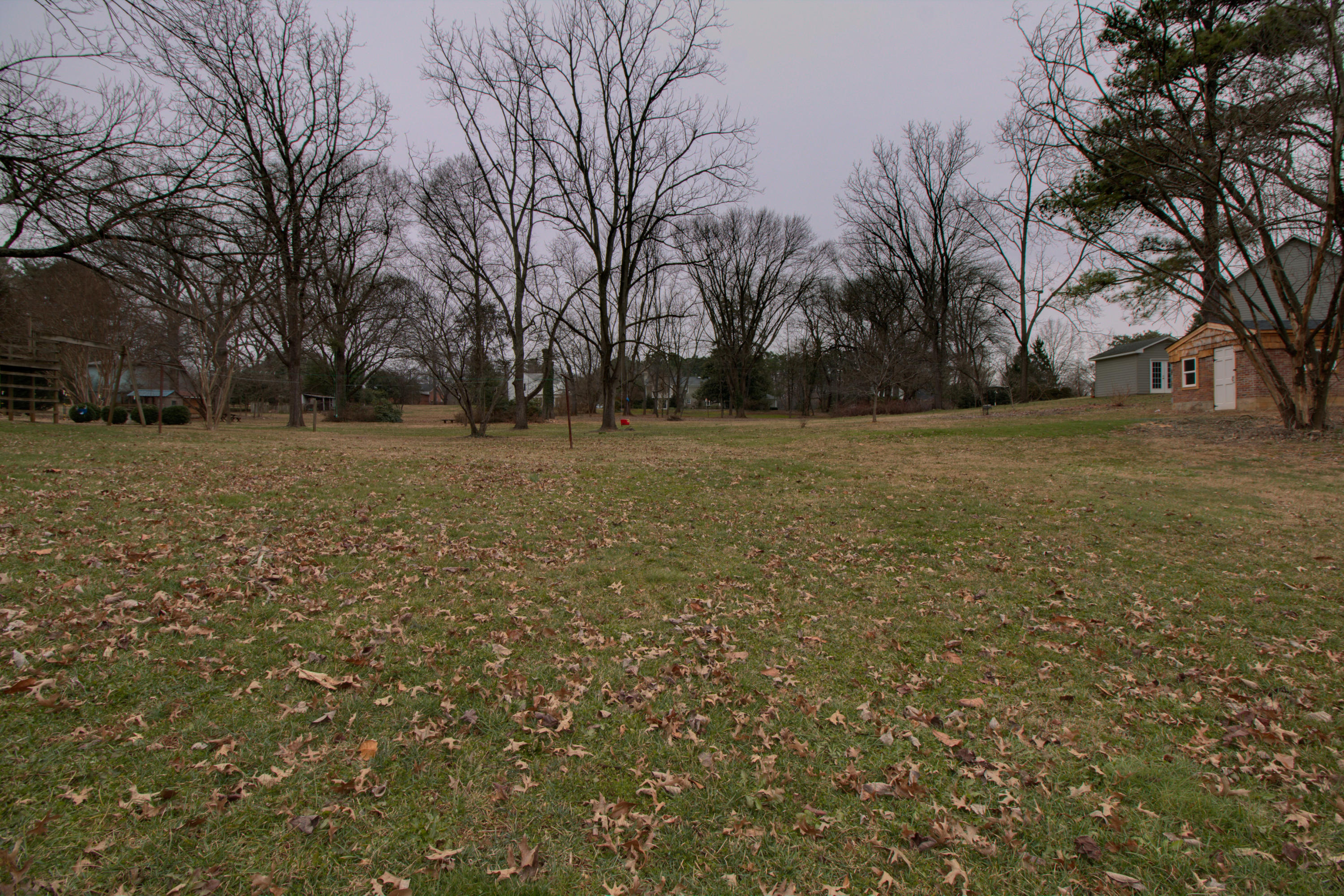 3435 Grandin Road Southwest Roanoke, VA 24018 - Photo 33 of 42 _MG_8331_2_3