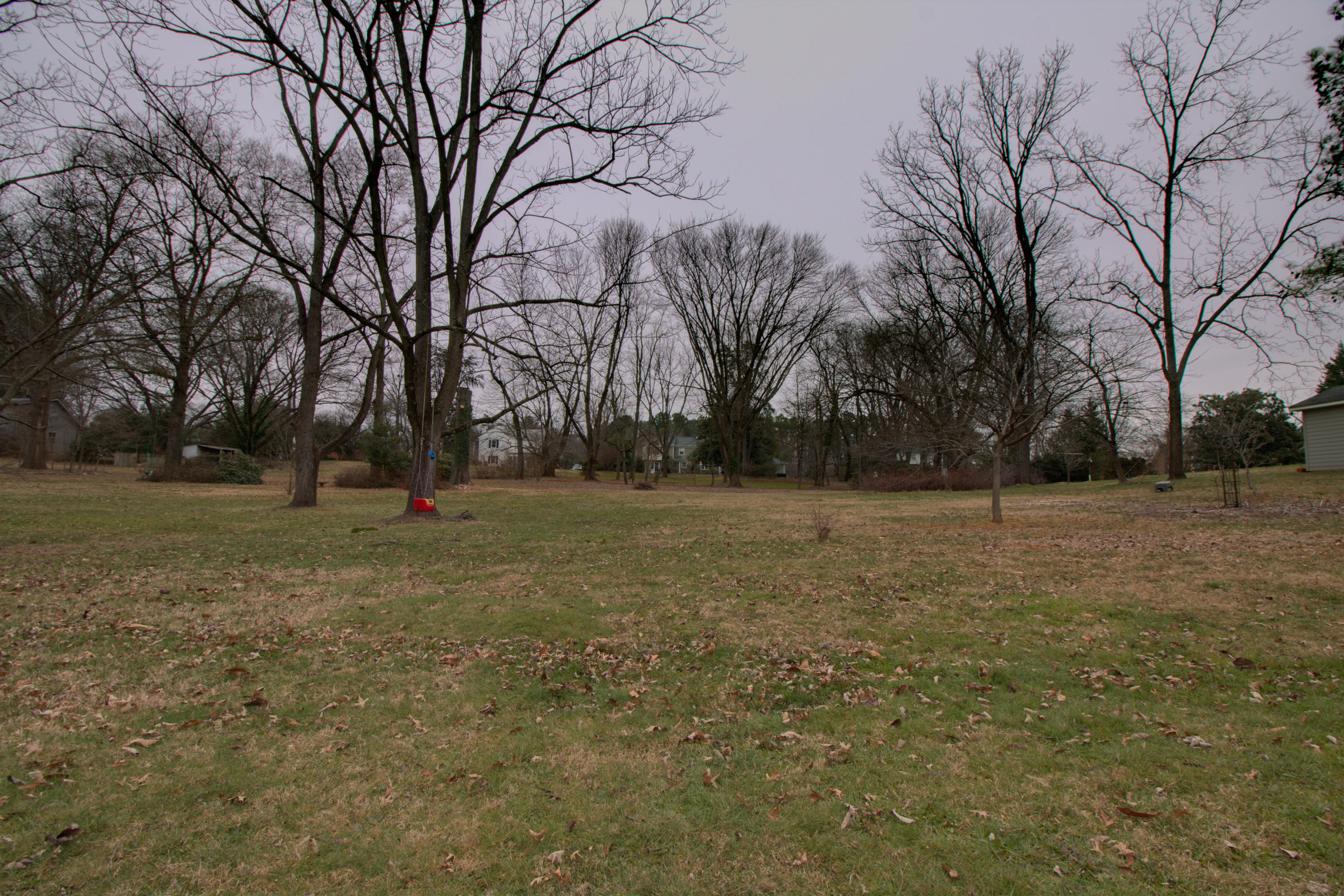 3435 Grandin Road Southwest Roanoke, VA 24018 - Photo 34 of 42 _MG_8334_5_6