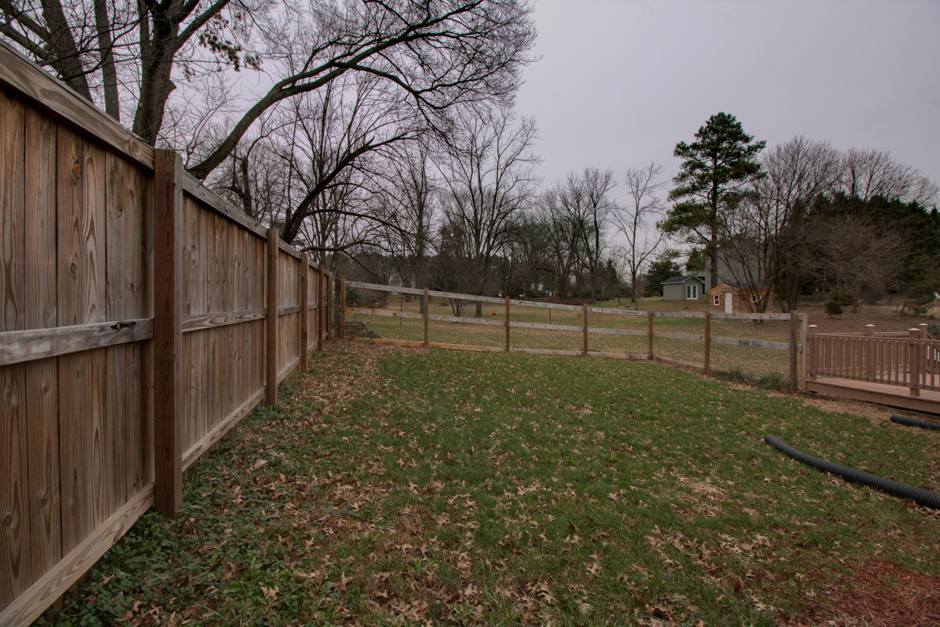 3435 Grandin Road Southwest Roanoke, VA 24018 - Photo 42 of 42 _MG_8361_2_3