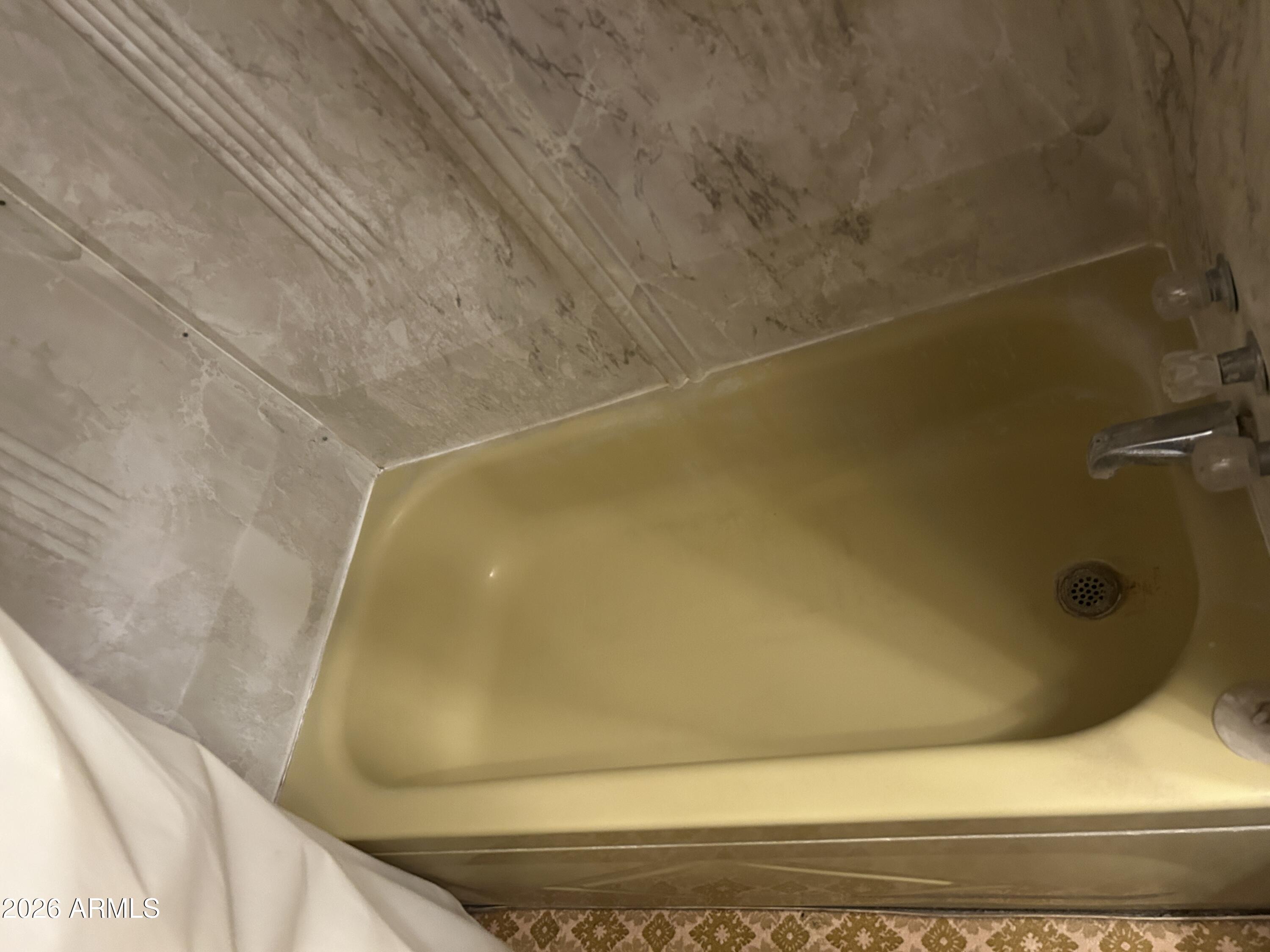 939 North Acacia Road, Unit 1 Apache Junction, AZ 85119 - Photo 23 of 42 Bathtub