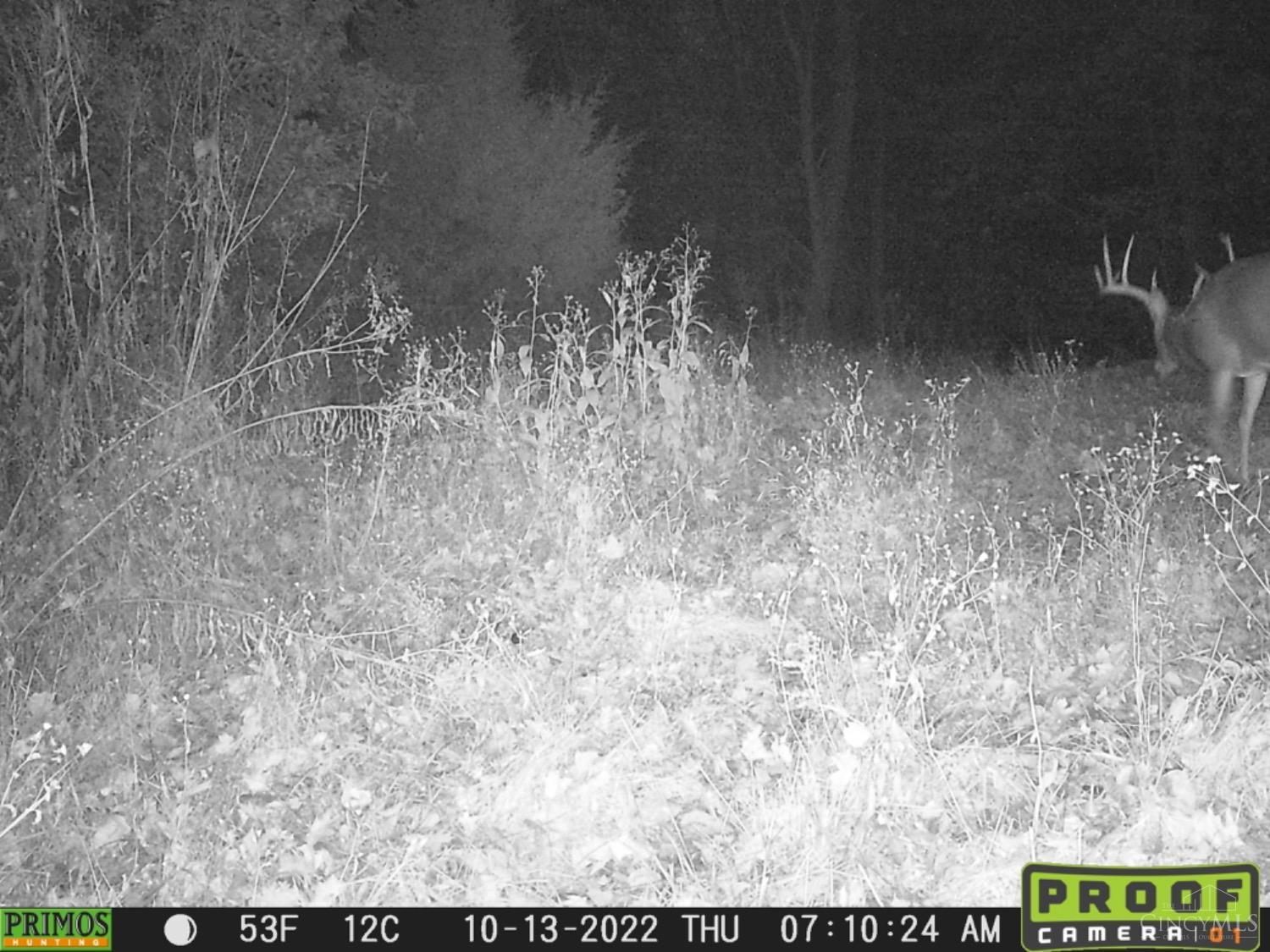 0 Devore Road Ripley, OH 45167 - Photo 40 of 63