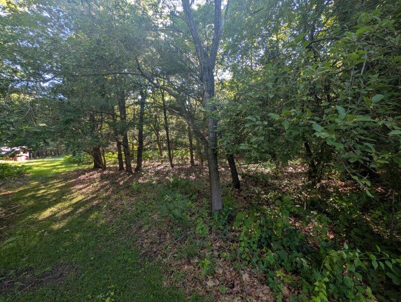 2325 Judson Road Spring Lake, MI 49456 - Photo 46 of 46 image000005 (9)