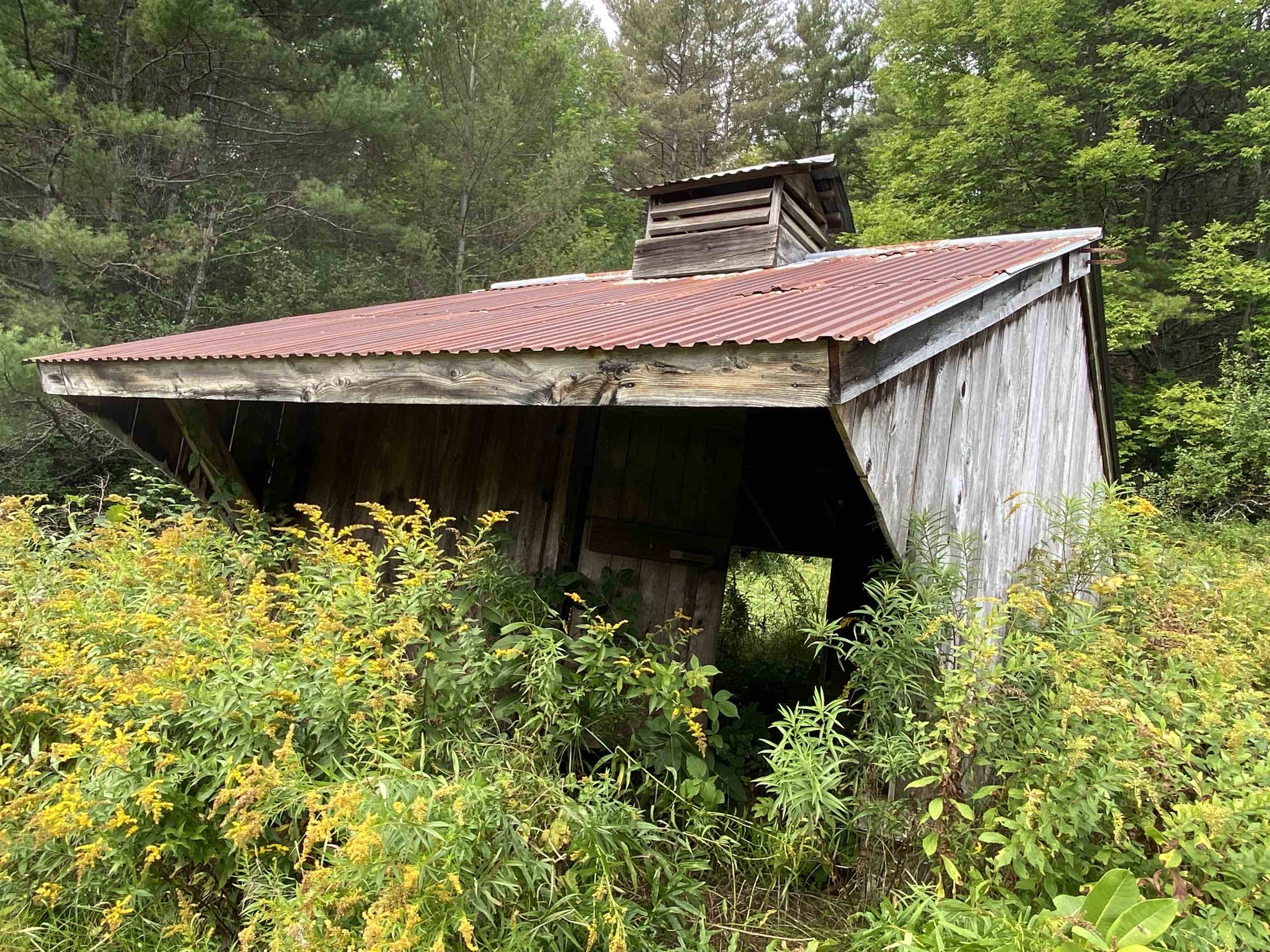 90 Downer Forest Road Strafford, VT 05070 - Photo 22 of 26 Gallery Image 22