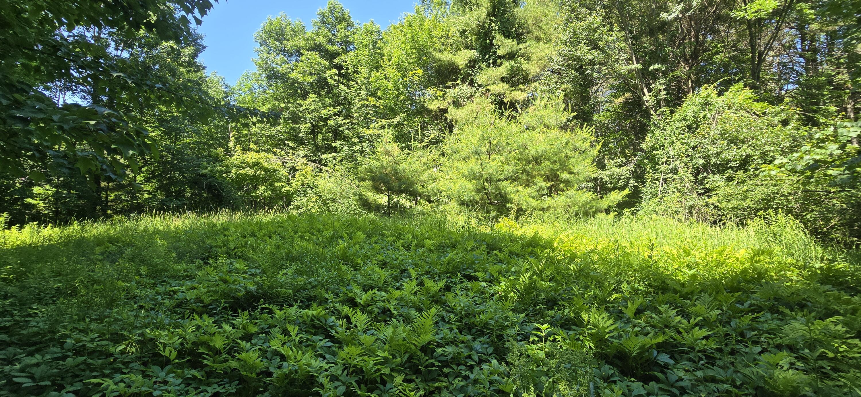 16 Wilson Road Gorham, ME 04038 - Photo 2 of 10 20250624_110743