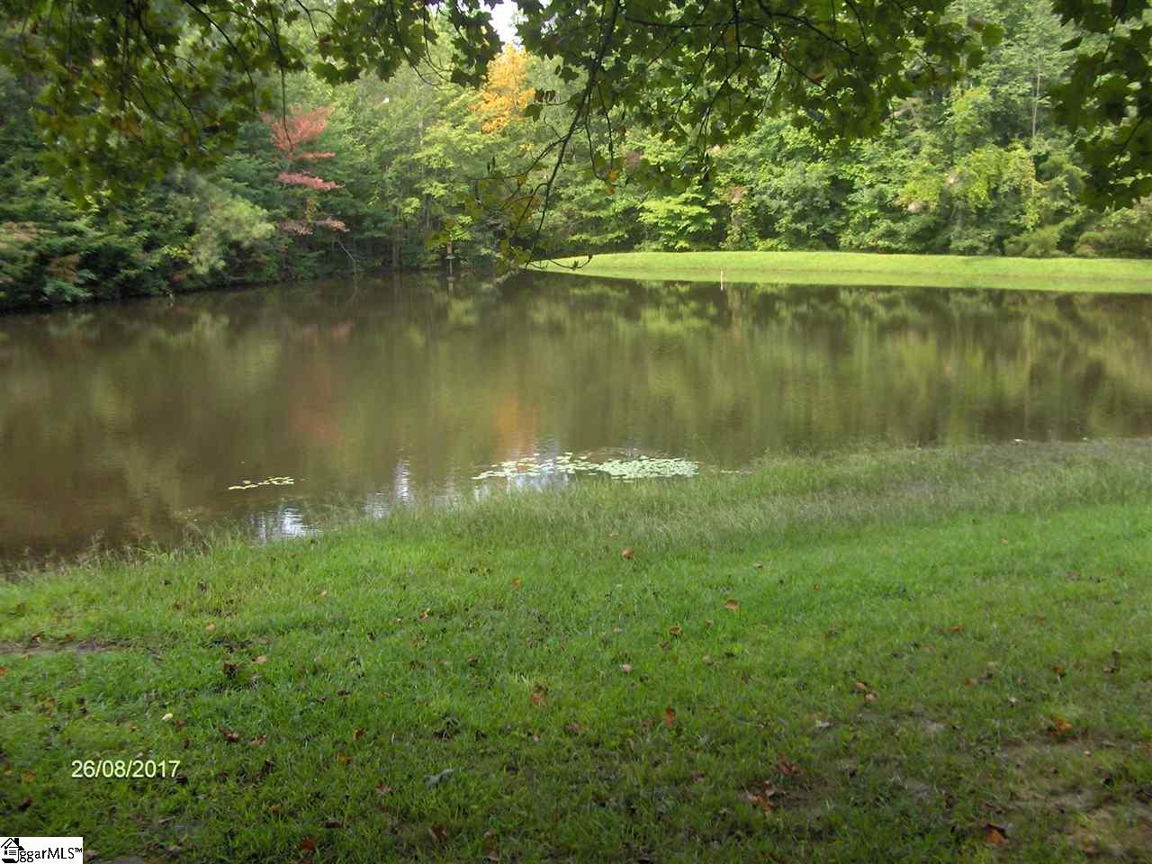 534 Hester Store Road Easley, SC 29640 - Photo 4 of 15