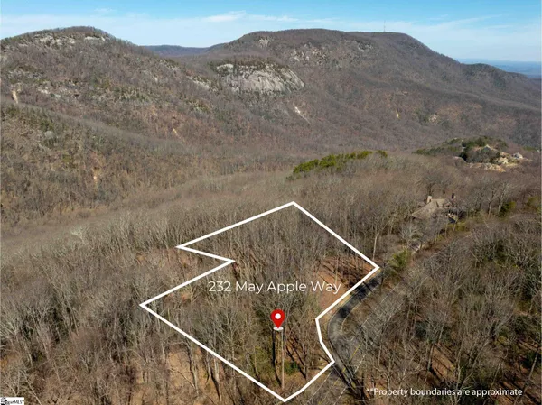 $1,395,000 | 248 May Apple Way, Landrum, SC 29356