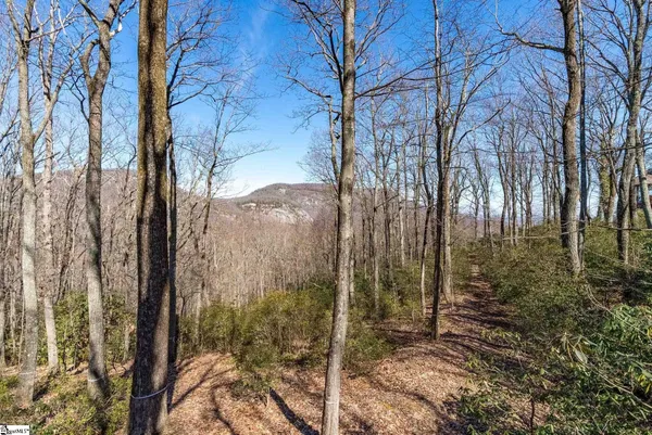 $1,395,000 | 248 May Apple Way, Landrum, SC 29356