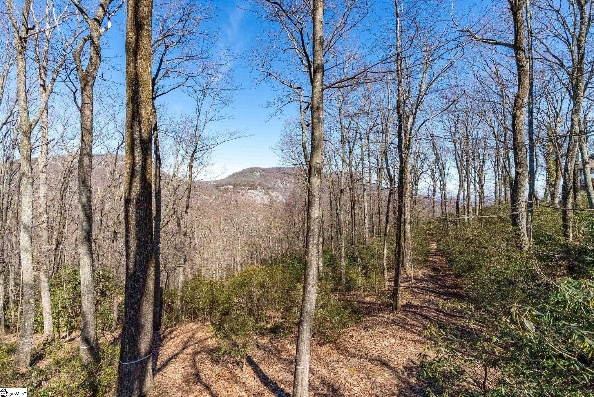 248 May Apple Way Landrum, SC 29356 - Photo 17 of 28