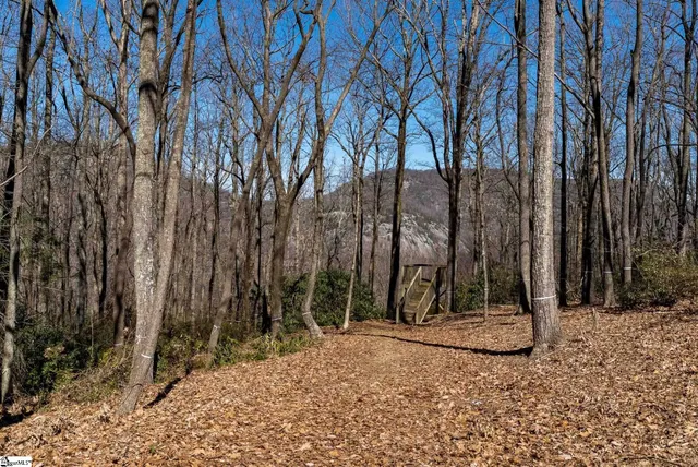 $1,395,000 | 248 May Apple Way, Landrum, SC 29356