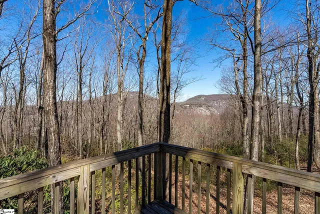 $1,395,000 | 248 May Apple Way, Landrum, SC 29356