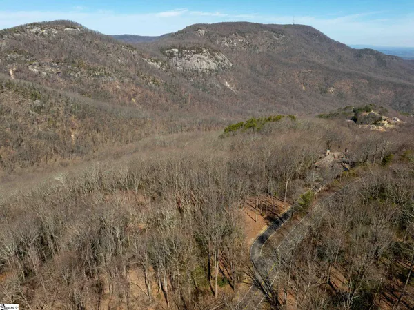 $1,395,000 | 248 May Apple Way, Landrum, SC 29356