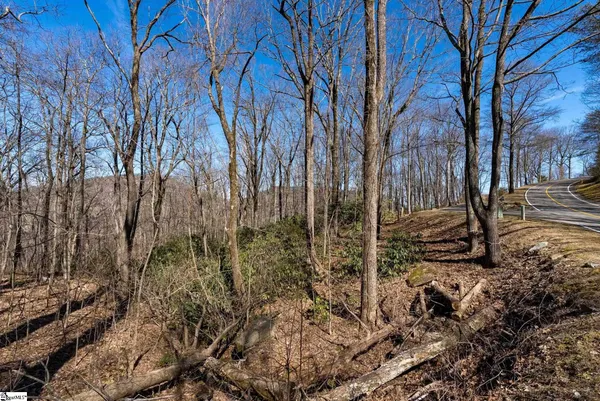 $1,395,000 | 248 May Apple Way, Landrum, SC 29356