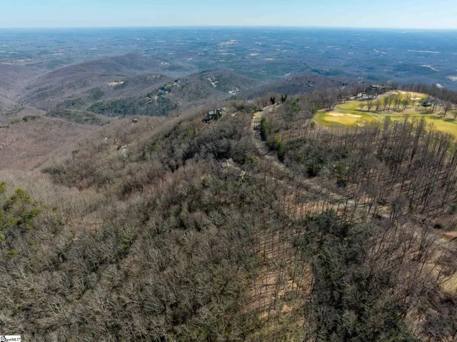 $1,395,000 | 248 May Apple Way, Landrum, SC 29356