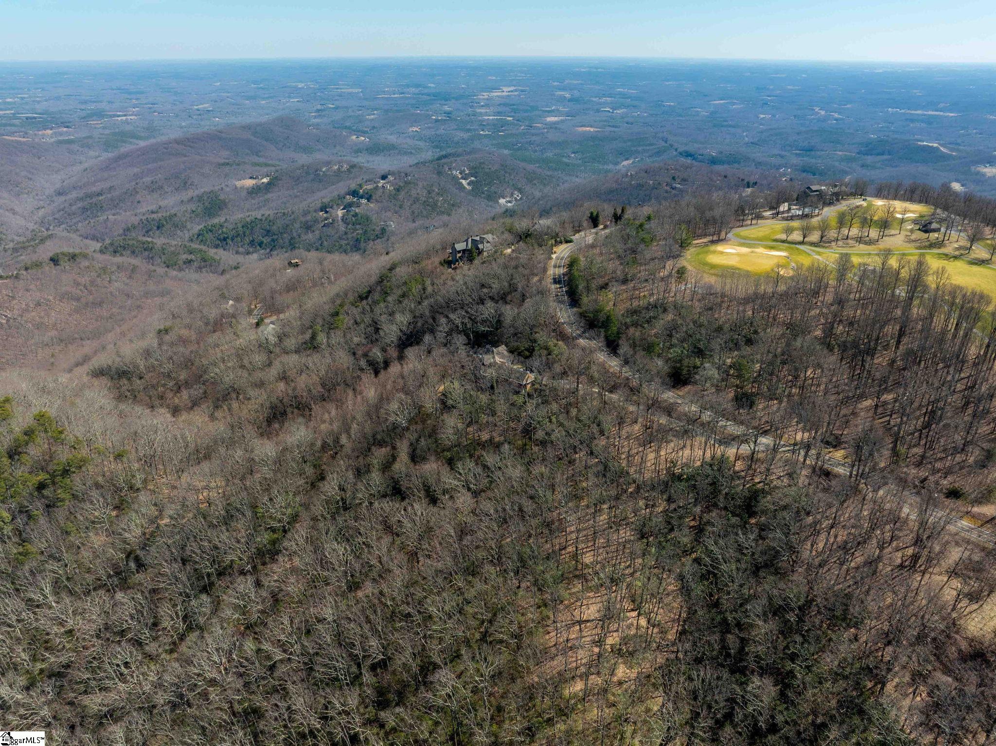 248 May Apple Way Landrum, SC 29356 - Photo 22 of 28