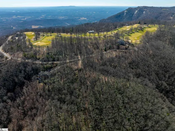 $1,395,000 | 248 May Apple Way, Landrum, SC 29356