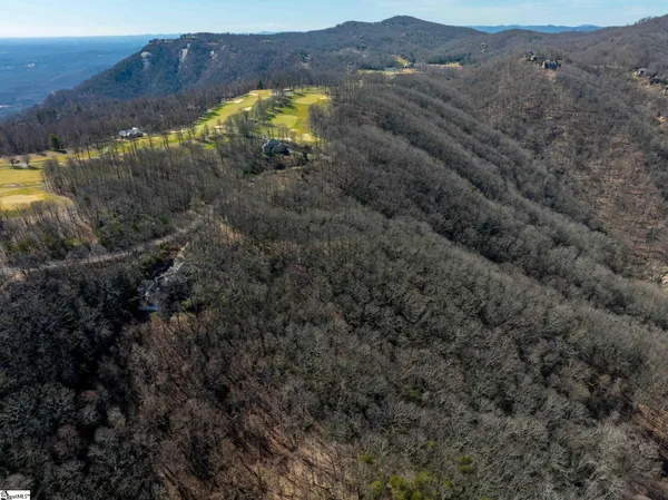 $1,395,000 | 248 May Apple Way, Landrum, SC 29356