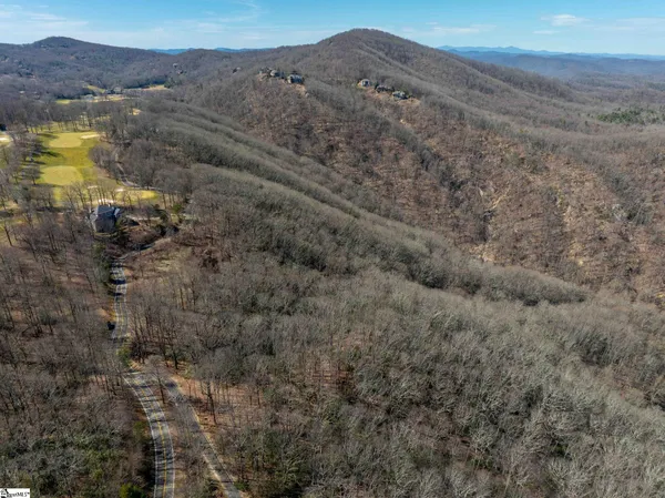 $1,395,000 | 248 May Apple Way, Landrum, SC 29356