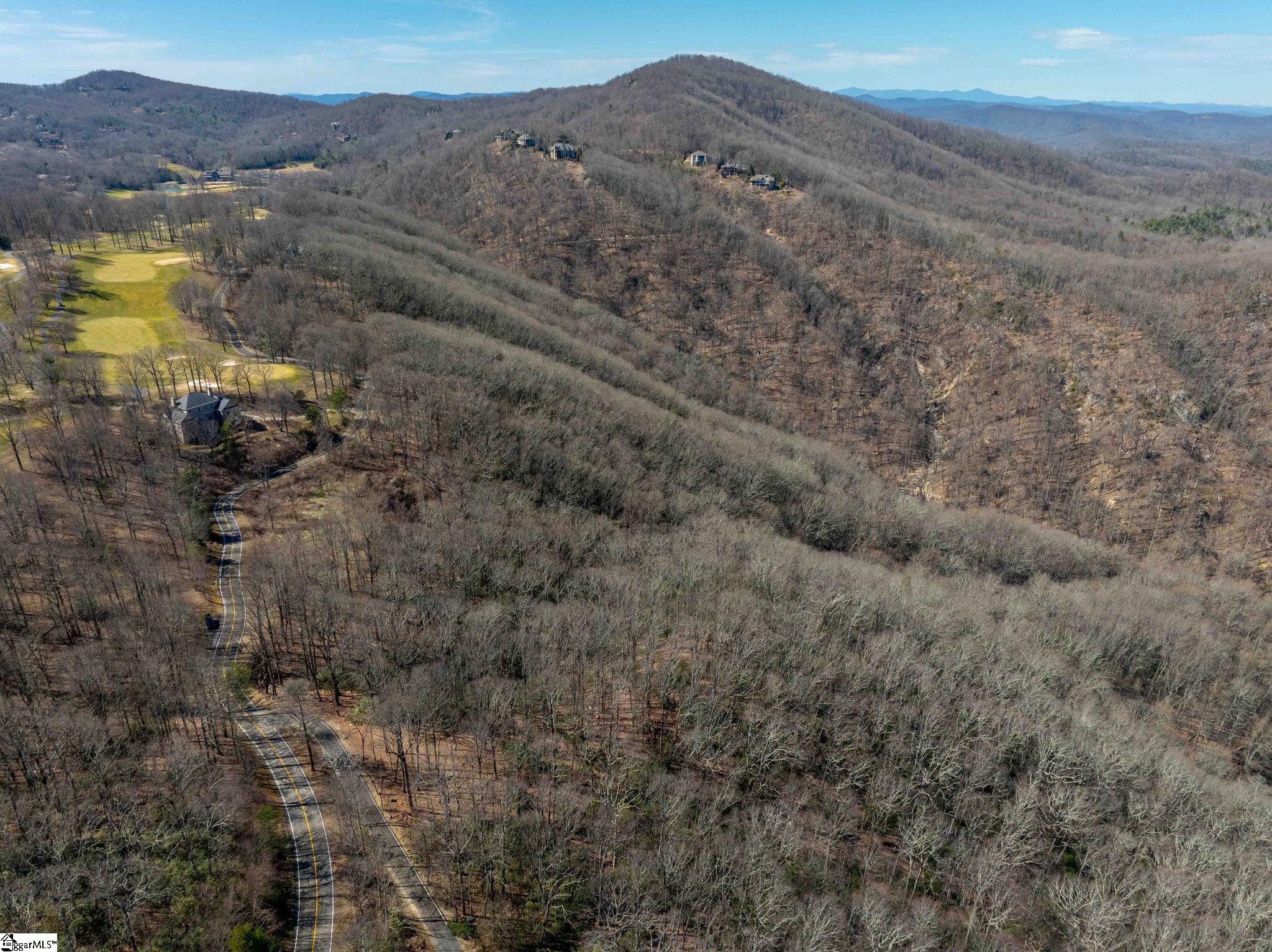 248 May Apple Way Landrum, SC 29356 - Photo 25 of 28