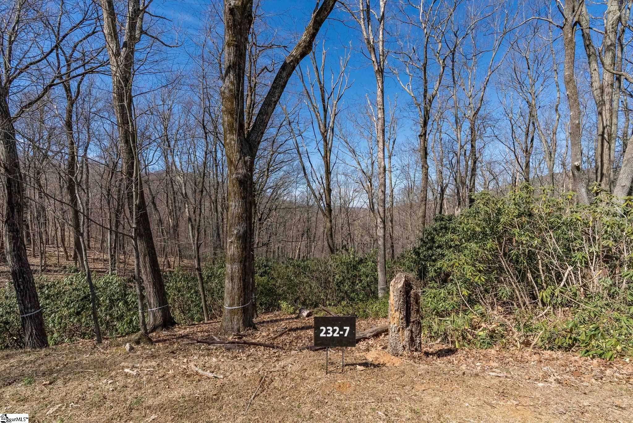 248 May Apple Way Landrum, SC 29356 - Photo 26 of 28