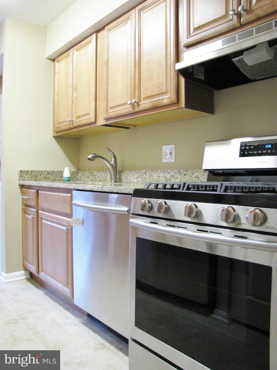 11220 Chestnut Grove Square, Unit 321 Reston, VA 20190 - Photo 7 of 29 Kitchen
