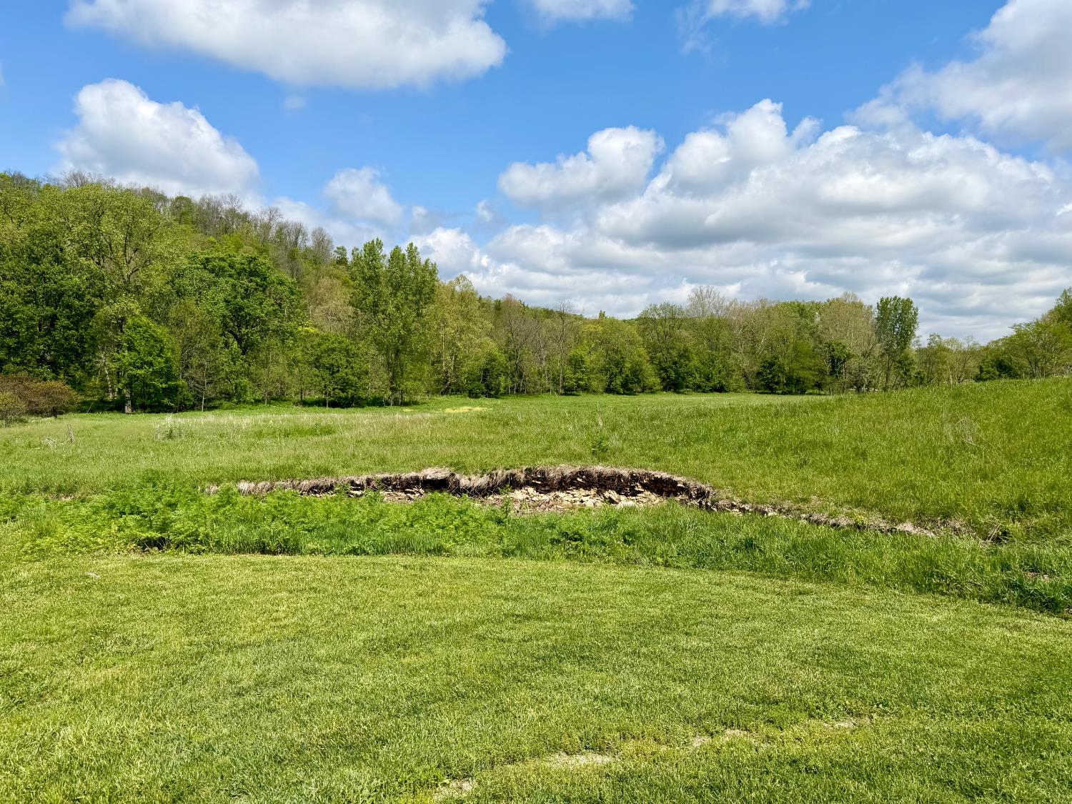 6033 Siemon Road Brookville, IN 47012 - Photo 10 of 62