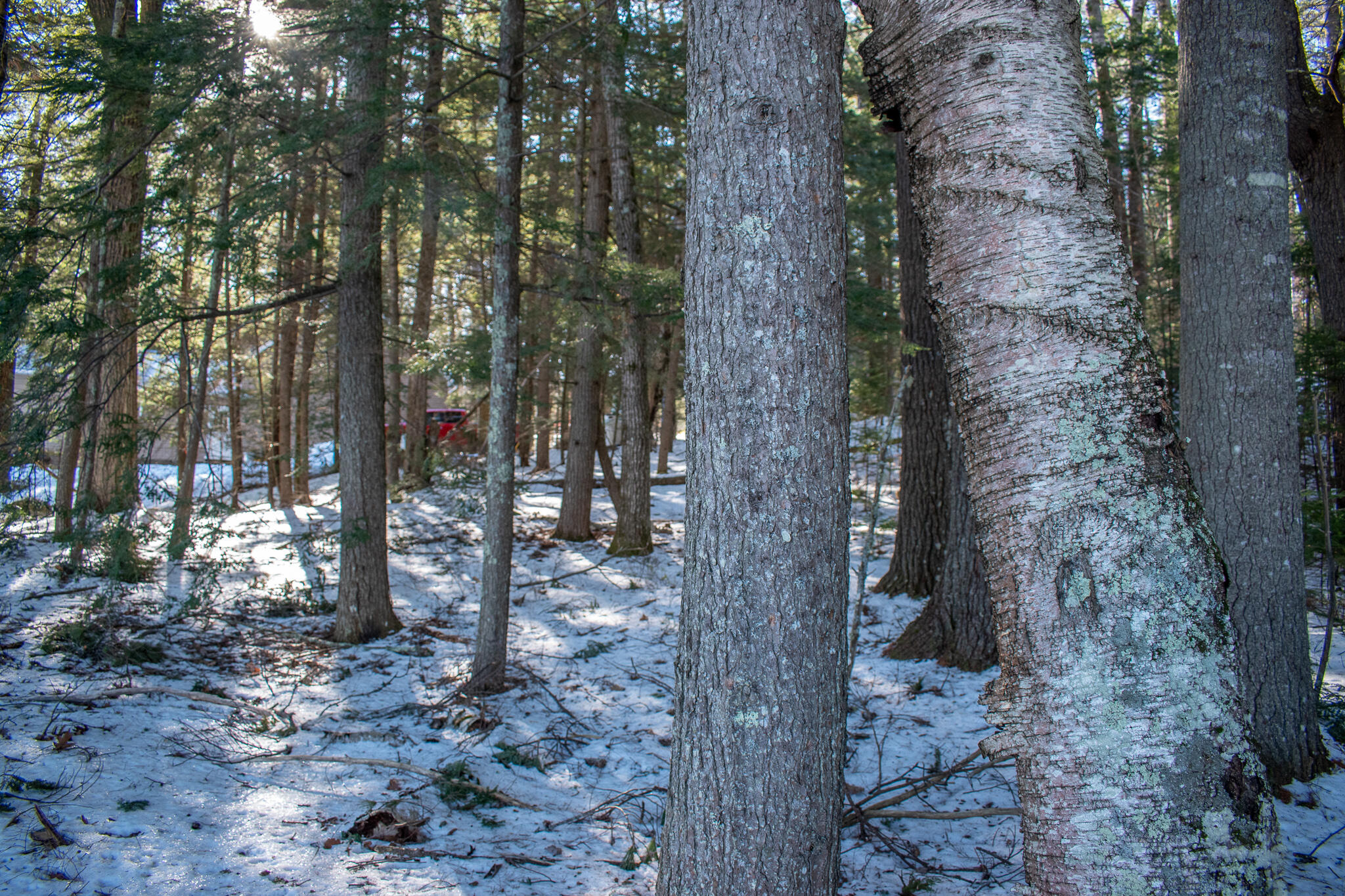 M134-l20 Macomber Road Readfield, ME 04355 - Photo 8 of 9 DSC_0562