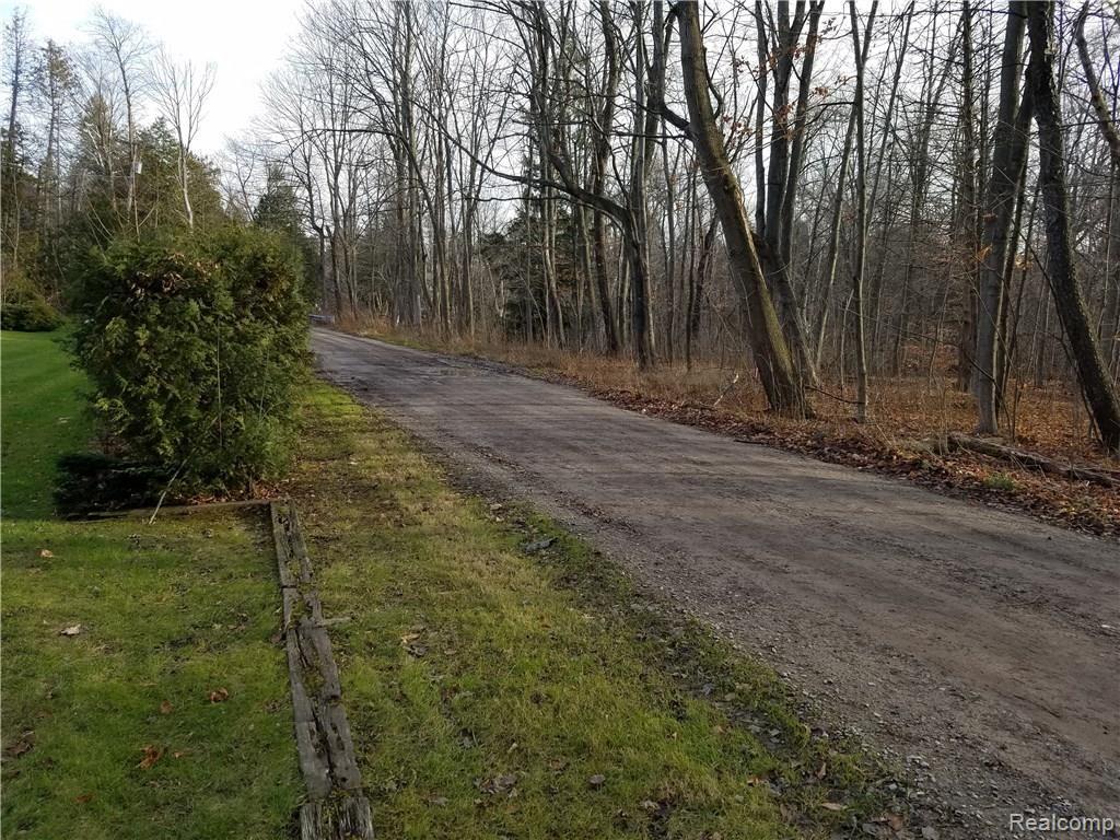 7347 Grove Road Lexington, MI 48450 - Photo 17 of 17 This is another view at the street.