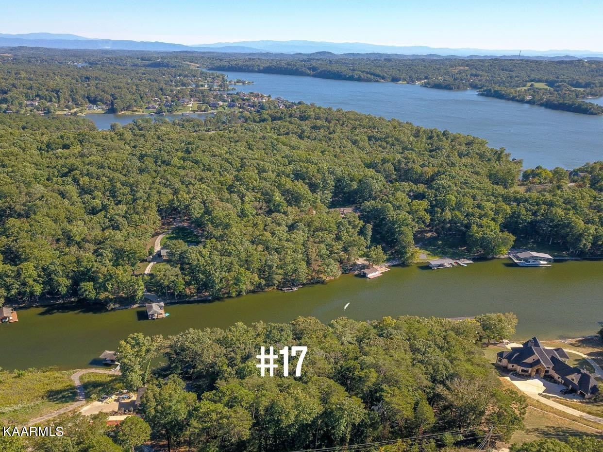 17 Blackberry Ridge Road Lenoir City, TN 37772 - Photo 20 of 20 Gallery Image 20