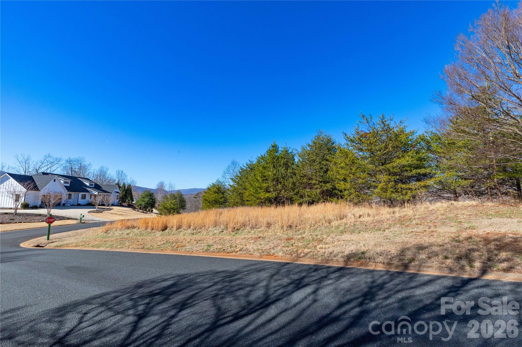 Lot 50-50a Mountain Pkwy Mill Spring, Unit 50 50A Mill Spring, NC 28756 - Photo 15 of 20 a view of a lake view
