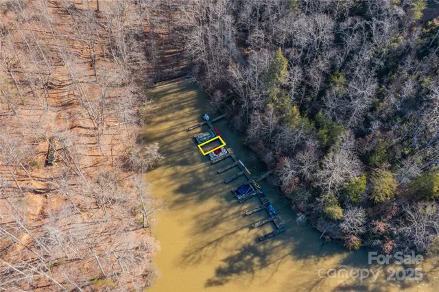 a view of a yard with trees