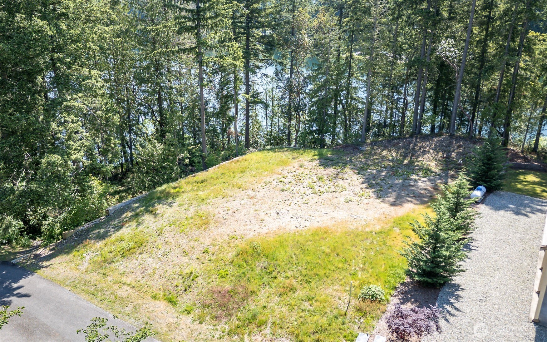 18547 Surcingle Court Southeast Yelm, WA 98597 - Photo 3 of 6 a view of a yard with large trees