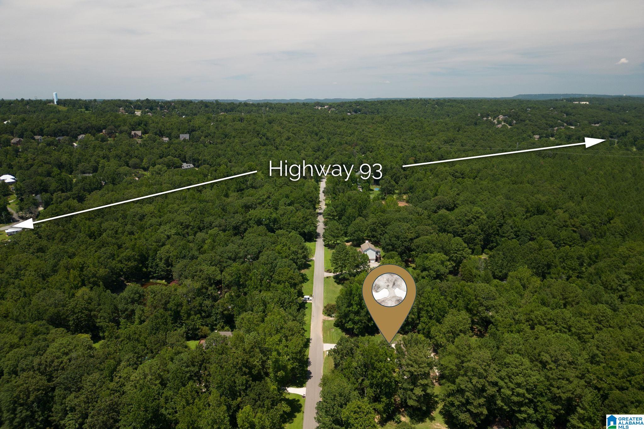 132 Chestnut Lane Helena, AL 35080 - Photo 49 of 59