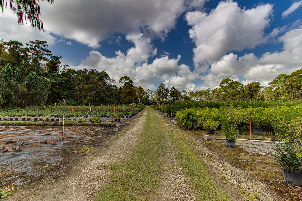 2209 E Road Loxahatchee, FL 33470 - Photo 1 of 19 qq-5